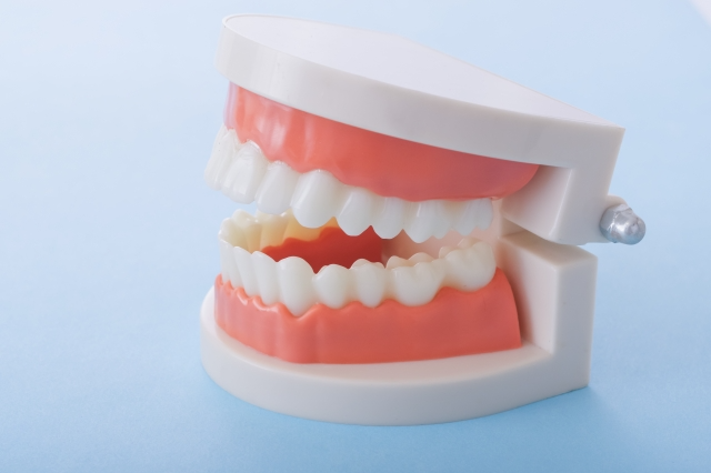 歯ぐき下がりを放置しないで！早めの受診が大切